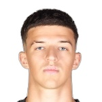 T. Muharemovic